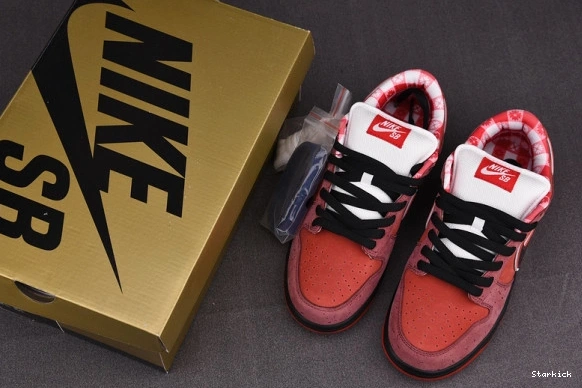 313170-661 Low Lobster SB Nike Concepts Dunk Red 0909